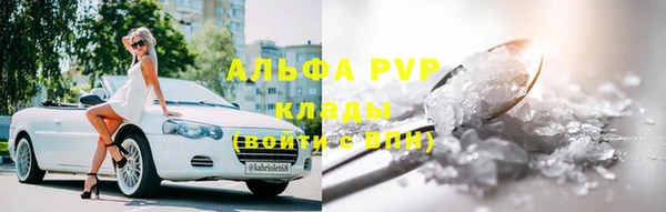 прущие грибы Краснослободск