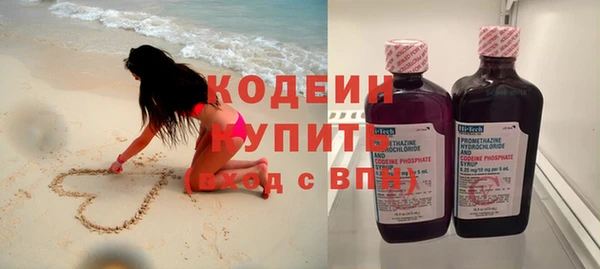прущие грибы Краснослободск