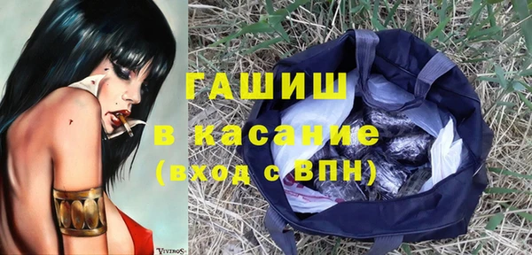 прущие грибы Краснослободск