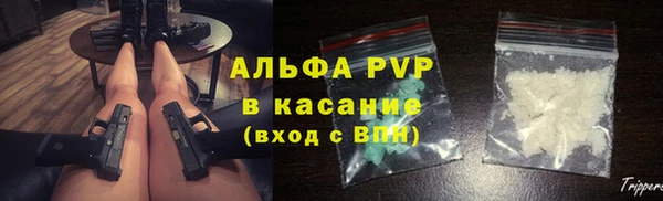прущие грибы Краснослободск