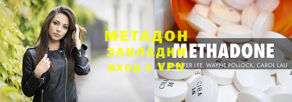 прущие грибы Краснослободск