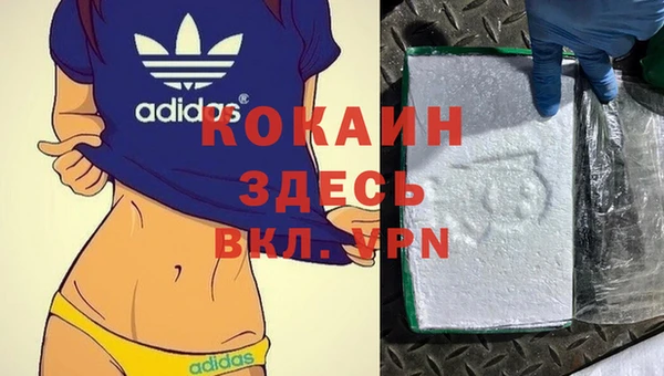 прущие грибы Краснослободск