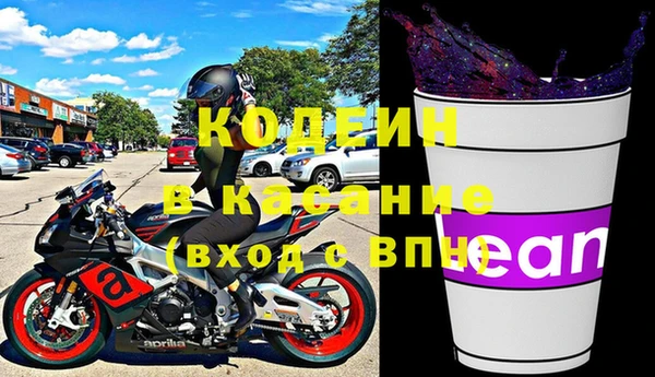прущие грибы Краснослободск